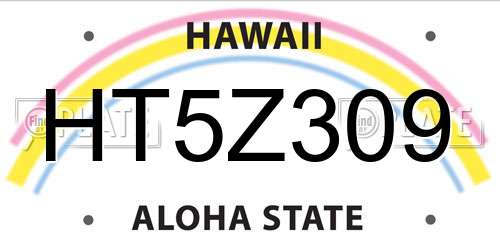HT5Z309 Hawaii License Plate