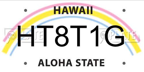 HT8T1G Hawaii License Plate