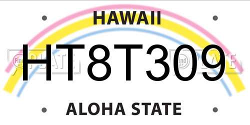 HT8T309 Hawaii License Plate
