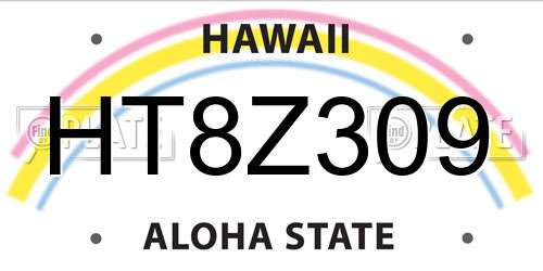 HT8Z309 Hawaii License Plate