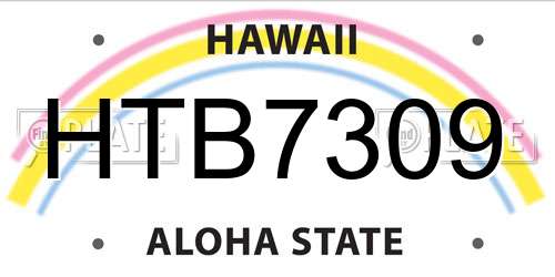 HTB7309 Hawaii License Plate