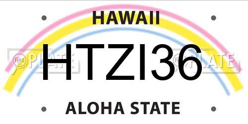 HTZI36 Hawaii License Plate