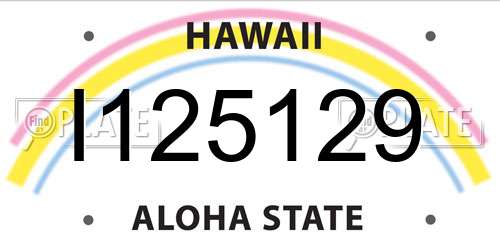 I125129 Hawaii License Plate