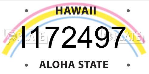 I172497 Hawaii License Plate
