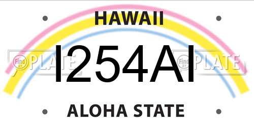 I254AI Hawaii License Plate