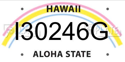 I30246G Hawaii License Plate