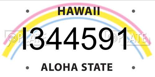 I344591 Hawaii License Plate