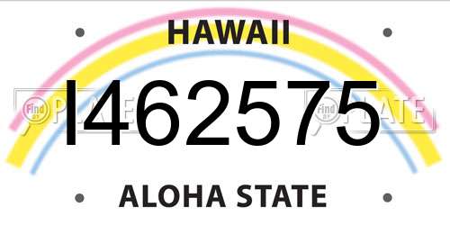 I462575 Hawaii License Plate