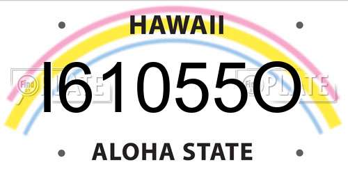 I61055O Hawaii License Plate