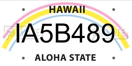 IA5B489 Hawaii License Plate