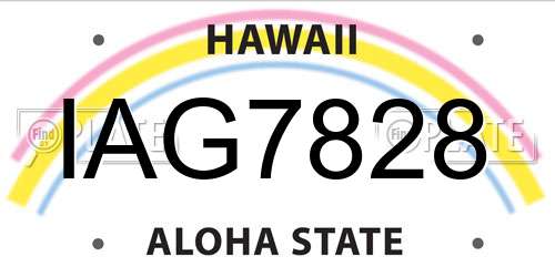IAG7828 Hawaii License Plate