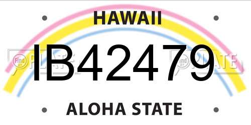 IB42479 Hawaii License Plate