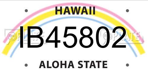 IB45802 Hawaii License Plate