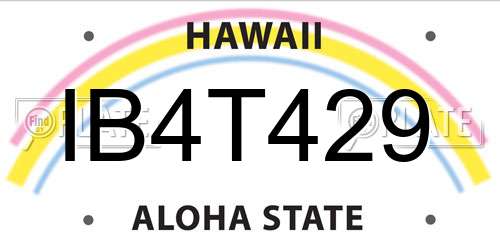 IB4T429 Hawaii License Plate
