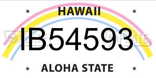 IB54593 Hawaii License Plate