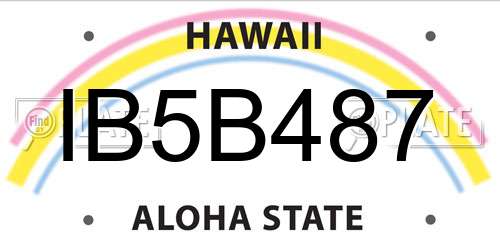 IB5B487 Hawaii License Plate