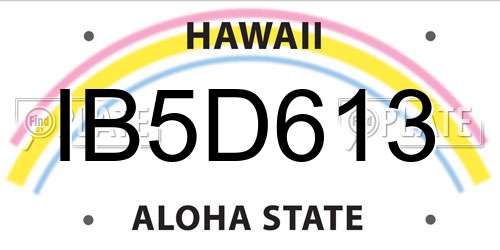 IB5D613 Hawaii License Plate