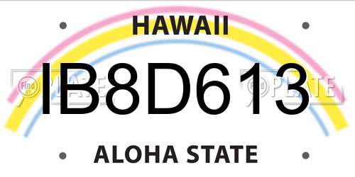 IB8D613 Hawaii License Plate