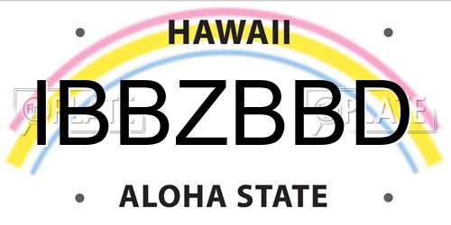IBBZBBD Hawaii License Plate