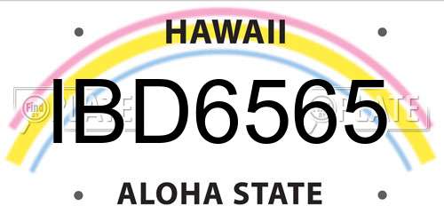 IBD6565 Hawaii License Plate