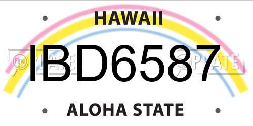 IBD6587 Hawaii License Plate