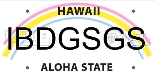 IBDGSGS Hawaii License Plate