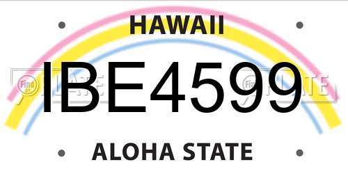 IBE4599 Hawaii License Plate