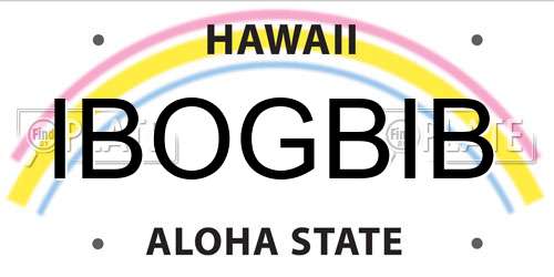 IBOGBIB Hawaii License Plate