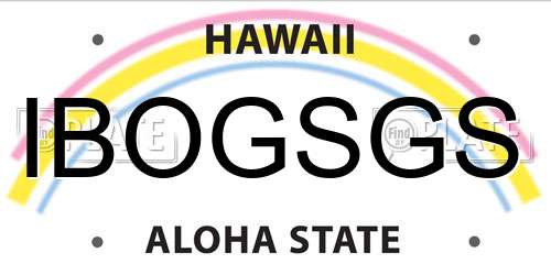 IBOGSGS Hawaii License Plate