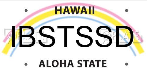IBSTSSD Hawaii License Plate