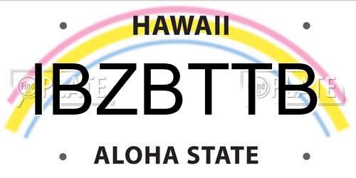IBZBTTB Hawaii License Plate