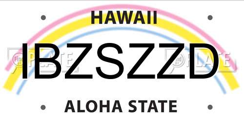 IBZSZZD Hawaii License Plate
