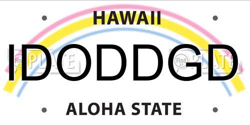 IDODDGD Hawaii License Plate