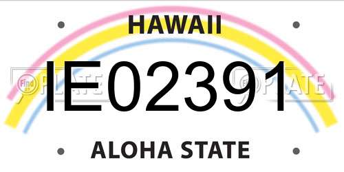 IE02391 Hawaii License Plate