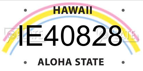 IE40828 Hawaii License Plate