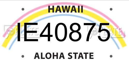 IE40875 Hawaii License Plate