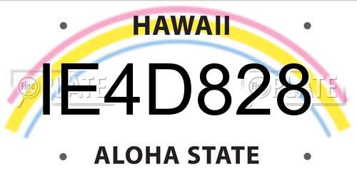 IE4D828 Hawaii License Plate