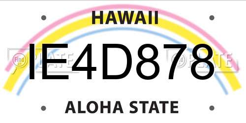 IE4D878 Hawaii License Plate