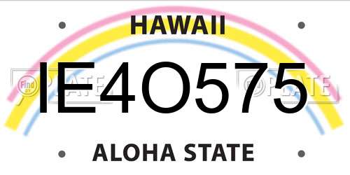 IE4O575 Hawaii License Plate