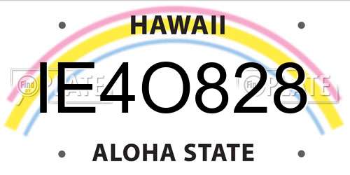 IE4O828 Hawaii License Plate