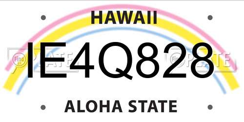IE4Q828 Hawaii License Plate