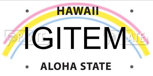 IGITEM Hawaii License Plate