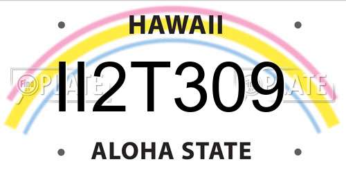 II2T309 Hawaii License Plate