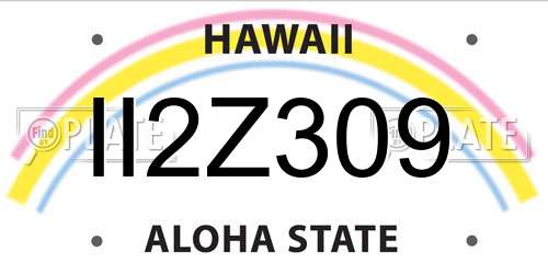 II2Z309 Hawaii License Plate