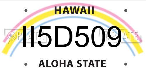 II5D509 Hawaii License Plate