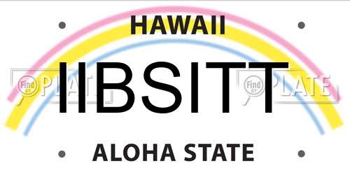 IIBSITT Hawaii License Plate