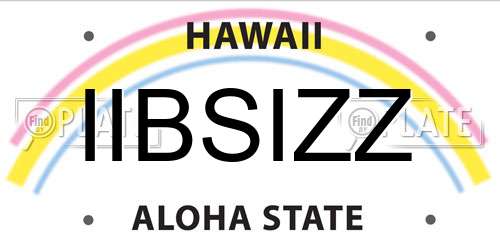 IIBSIZZ Hawaii License Plate