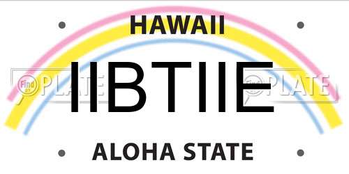 IIBTIIE Hawaii License Plate