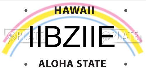IIBZIIE Hawaii License Plate