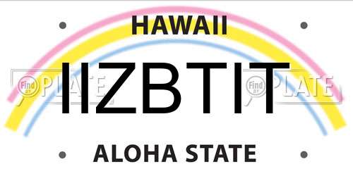 IIZBTIT Hawaii License Plate